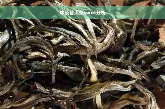 中茶普洱茶swot分析