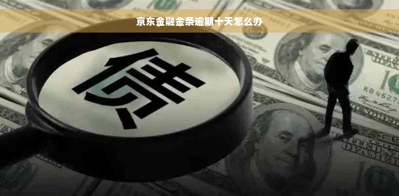 京东金融金条逾期十天怎么办