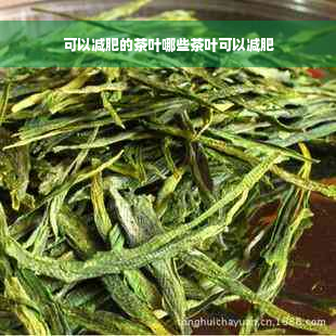 可以减肥的茶叶哪些茶叶可以减肥