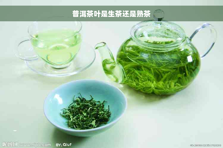 普洱茶叶是生茶还是熟茶