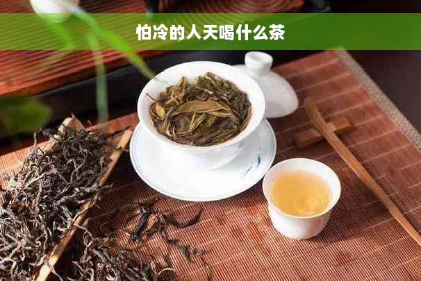 怕冷的人天喝什么茶