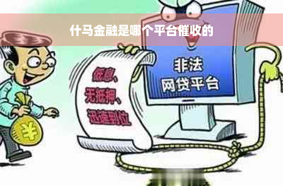 什马金融是哪个平台催收的