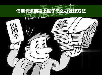 信用卡逾期被上报了怎么办处理方法