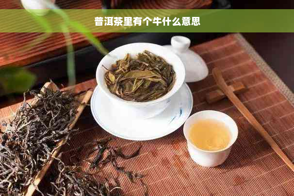 普洱茶里有个牛什么意思