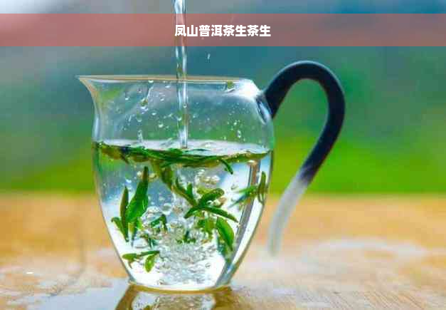 凤山普洱茶生茶生