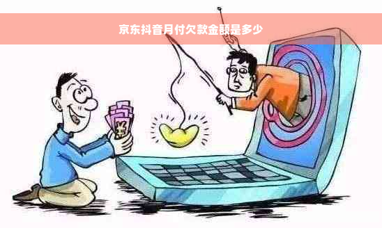 京东抖音月付欠款金额是多少