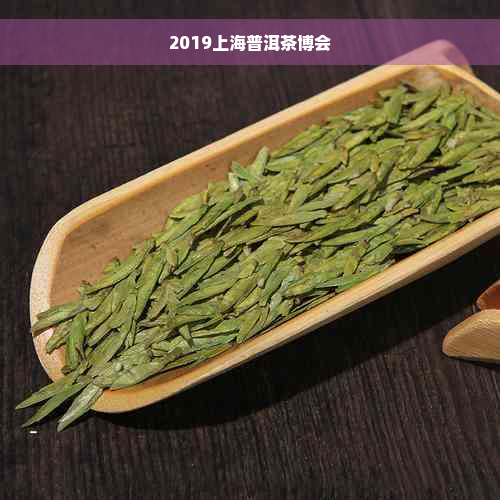 2019上海普洱茶博会