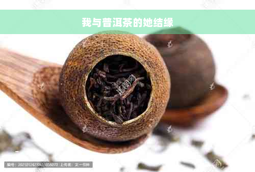 我与普洱茶的她结缘