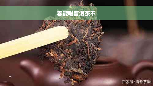 春能喝普洱茶不