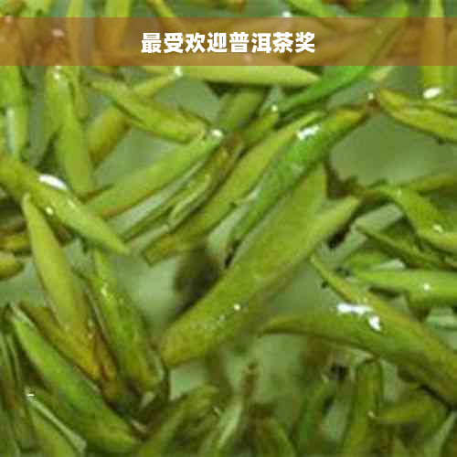 更受欢迎普洱茶奖