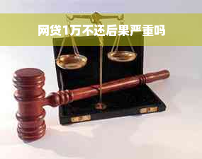 网贷1万不还后果严重吗