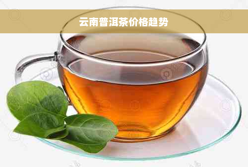 云南普洱茶价格趋势