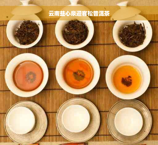 云南益心泉迎客松普洱茶