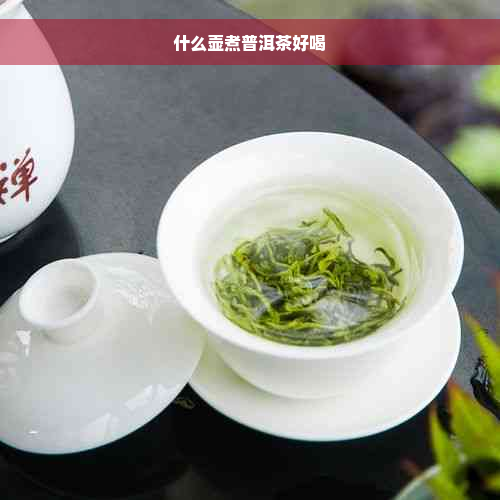 什么壶煮普洱茶好喝