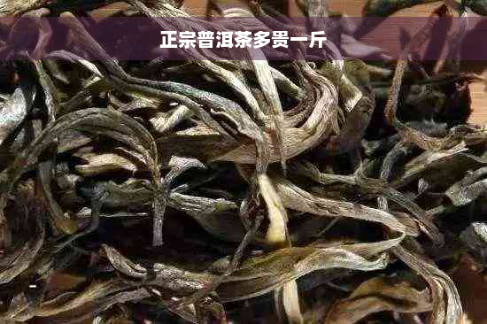 正宗普洱茶多贵一斤