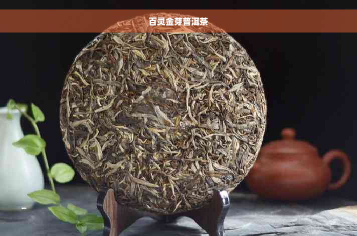 百灵金芽普洱茶