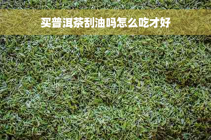 买普洱茶刮油吗怎么吃才好