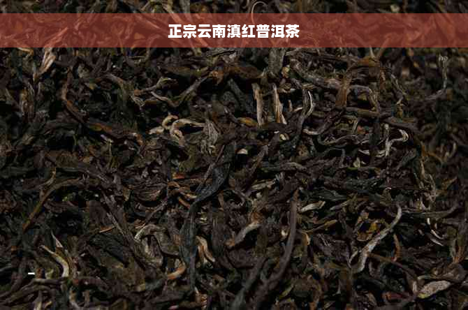 正宗云南滇红普洱茶