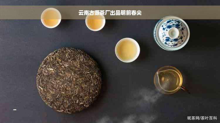 云南古源茶厂出品明前春尖