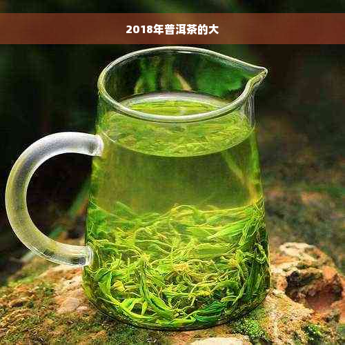 2018年普洱茶的大