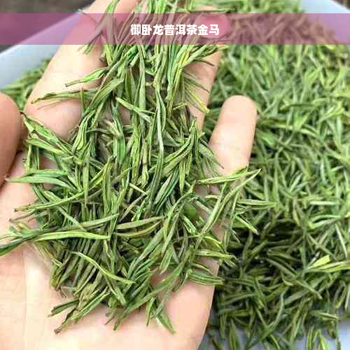 御卧龙普洱茶金马