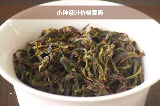 小种茶叶价格贵吗