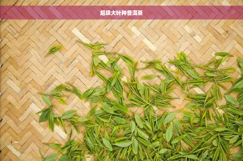 超级大叶种普洱茶