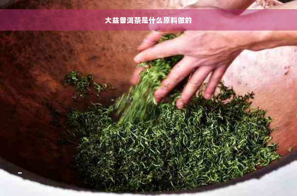 大益普洱茶是什么原料做的