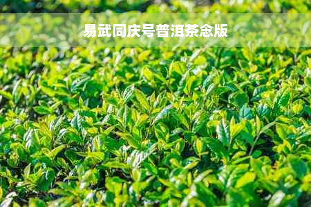 易武同庆号普洱茶念版