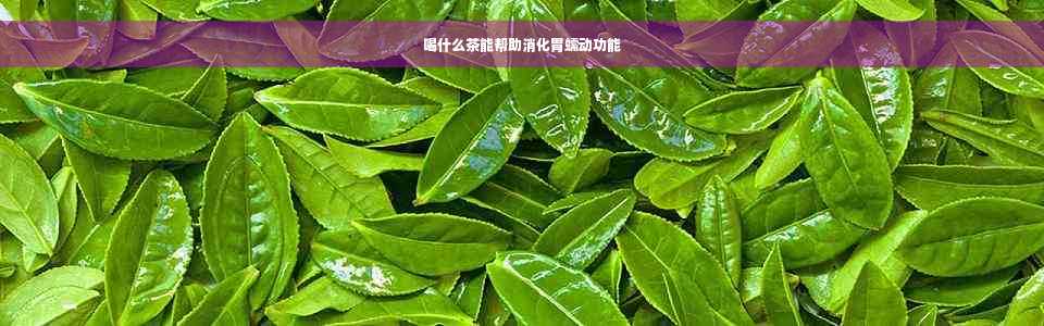 喝什么茶能帮助消化胃蠕动功能