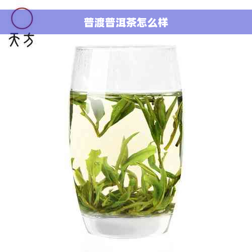 普渡普洱茶怎么样