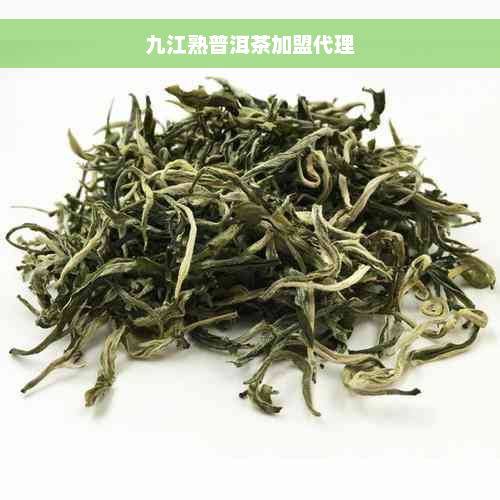 九江熟普洱茶加盟代理