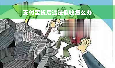 支付宝贷后违法催收怎么办