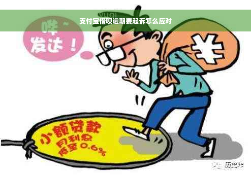 支付宝借呗逾期要起诉怎么应对