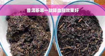 普洱茶哪一款降血脂效果好