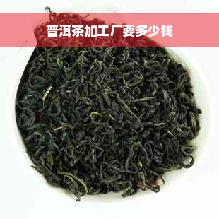 普洱茶加工厂要多少钱