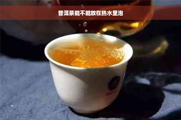 普洱茶能不能放在热水里泡