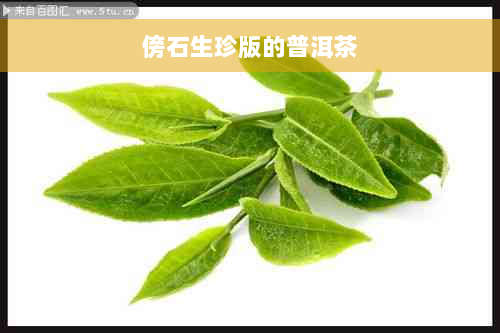 傍石生珍版的普洱茶