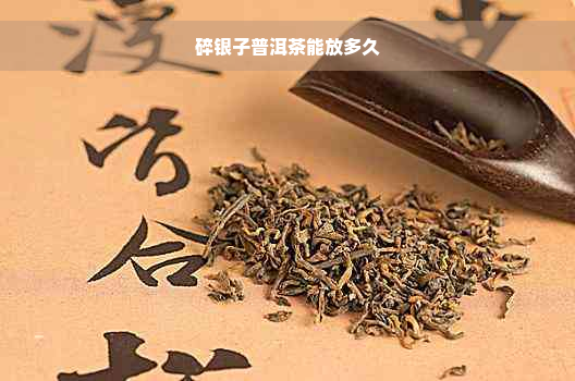 碎银子普洱茶能放多久