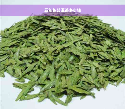 五年陈普洱茶多少钱