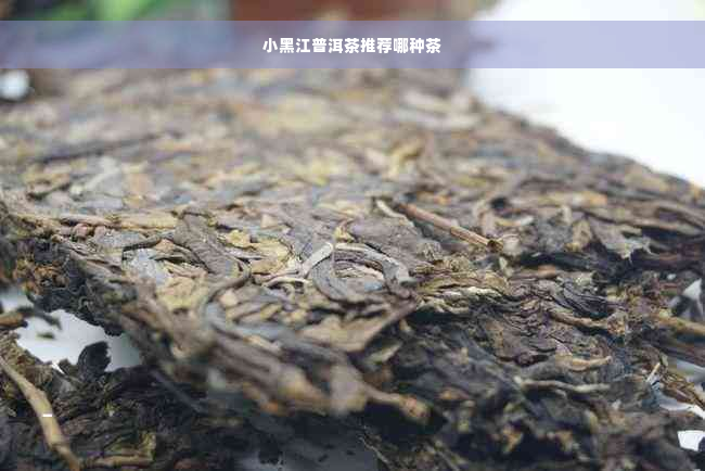 小黑江普洱茶推荐哪种茶