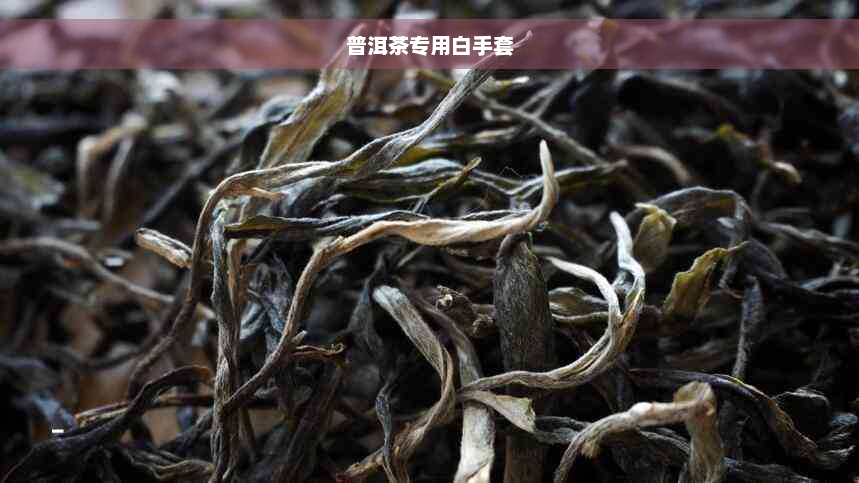 普洱茶专用白手套