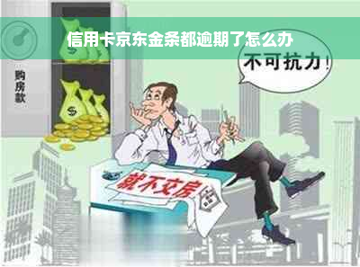 信用卡京东金条都逾期了怎么办