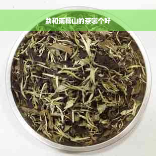 勐和南糯山的茶哪个好