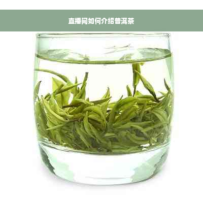 直播间如何介绍普洱茶