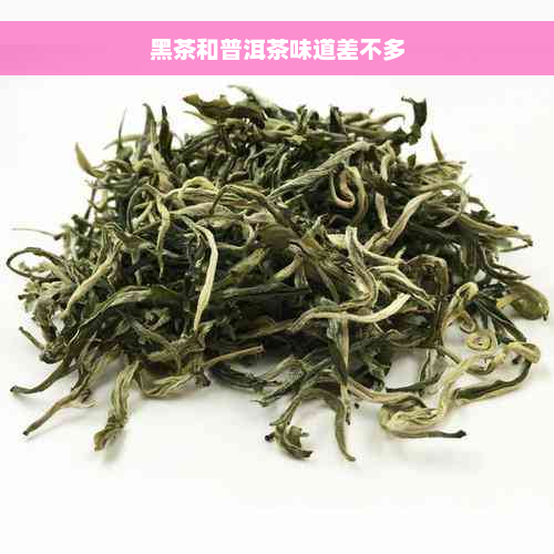 黑茶和普洱茶味道差不多