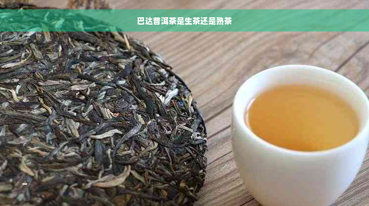 巴达普洱茶是生茶还是熟茶