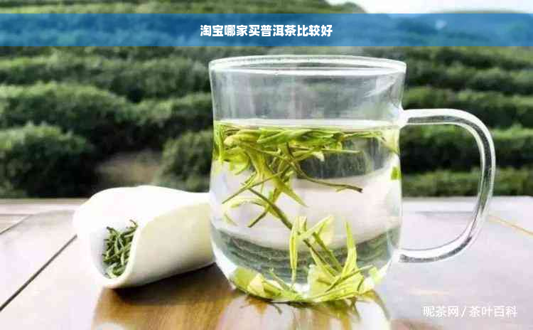 淘宝哪家买普洱茶比较好