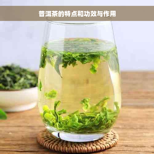 普洱茶的特点和功效与作用