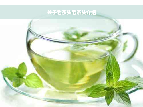 关于老茶头老茶头介绍